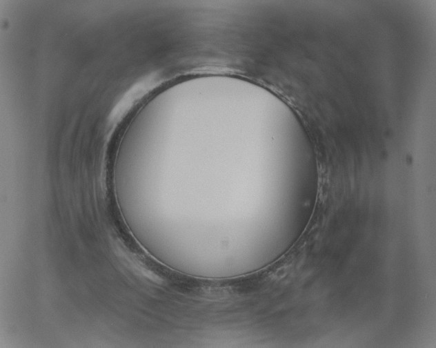 X0000067390296200604131938