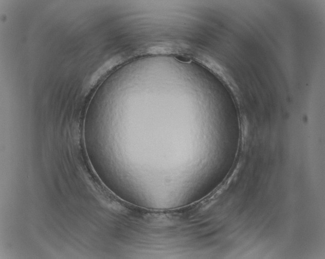 X0000067390297200604131938