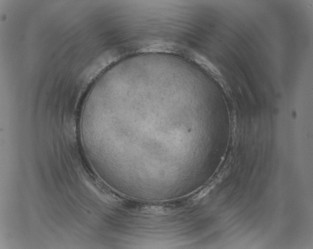 X0000067390298200604131938