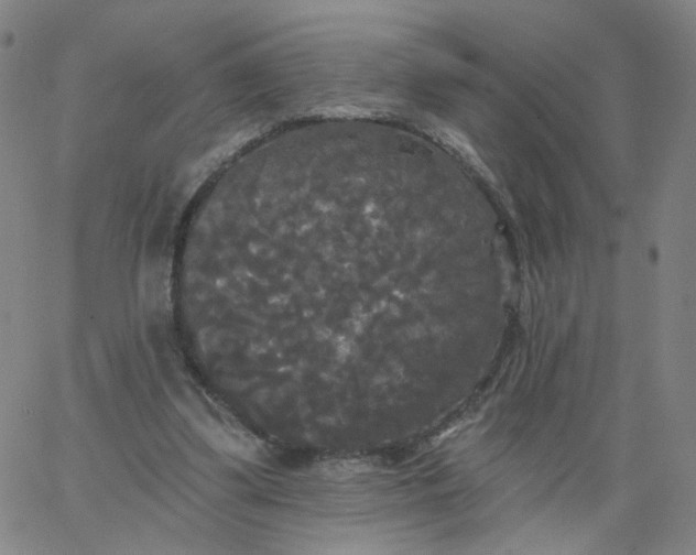 X0000067390299200604131938