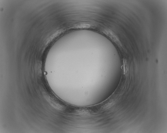 X0000067390300200604131938