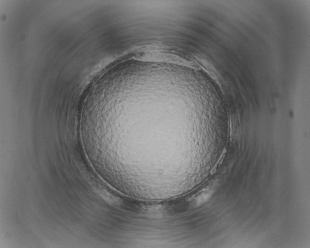 X0000067390301200604131938