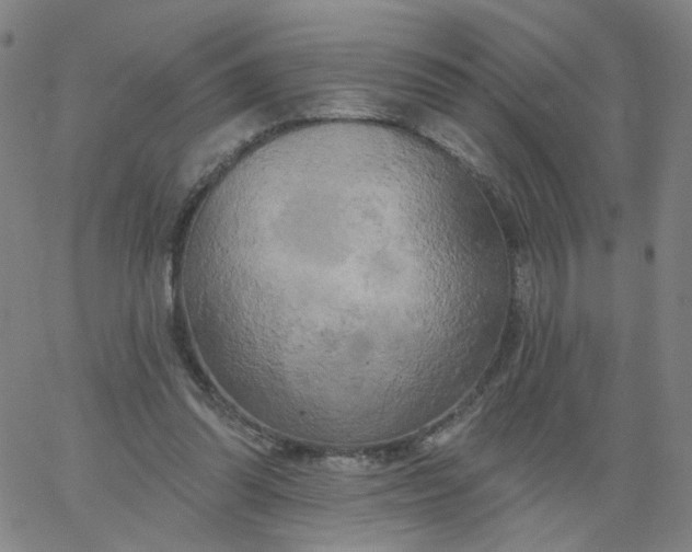 X0000067390302200604131938