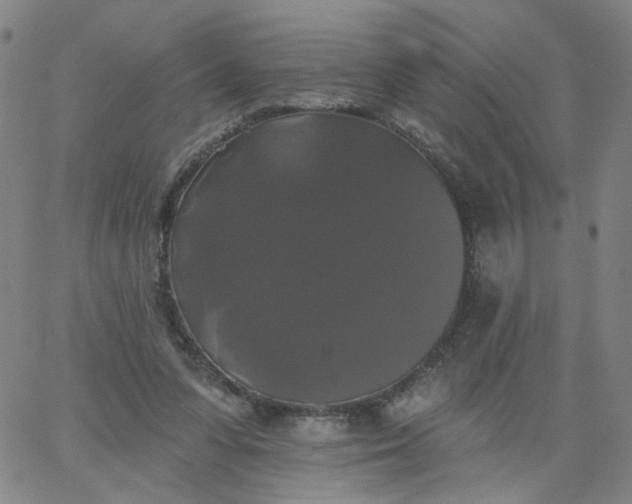 X0000067390303200604131938