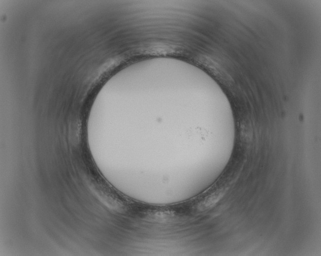 X0000067390304200604131938