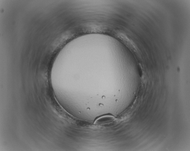 X0000067390306200604131938