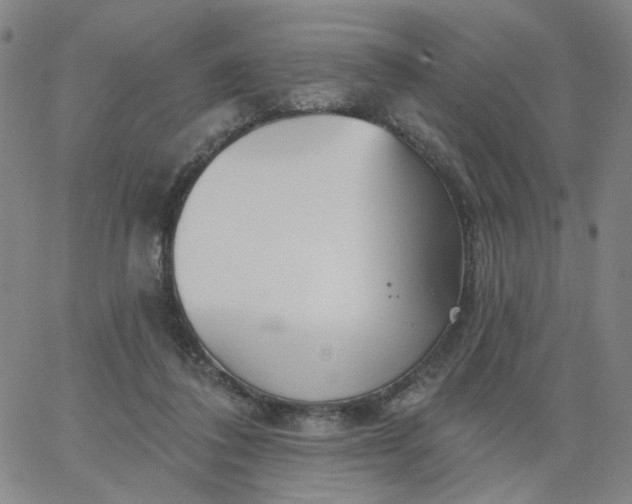 X0000067390308200604131938