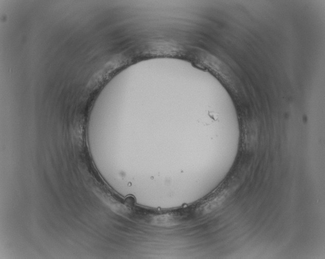 X0000067390309200604131938