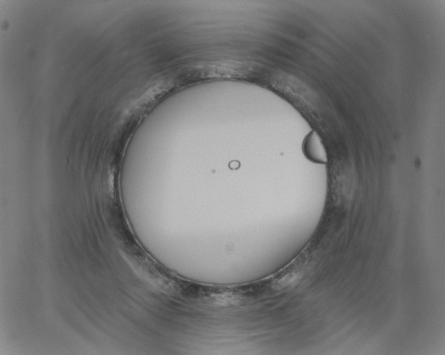 X0000067390310200604131938