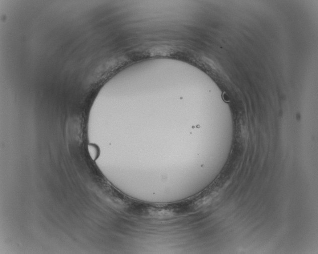 X0000067390311200604131938