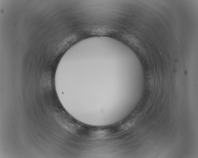 X0000067390312200604131938