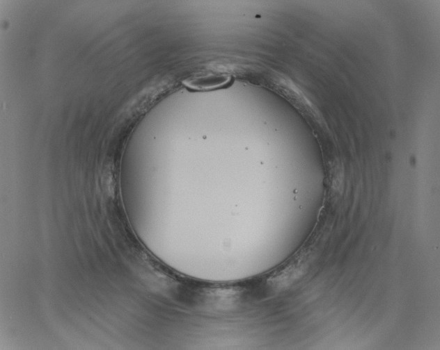 X0000067390313200604131938