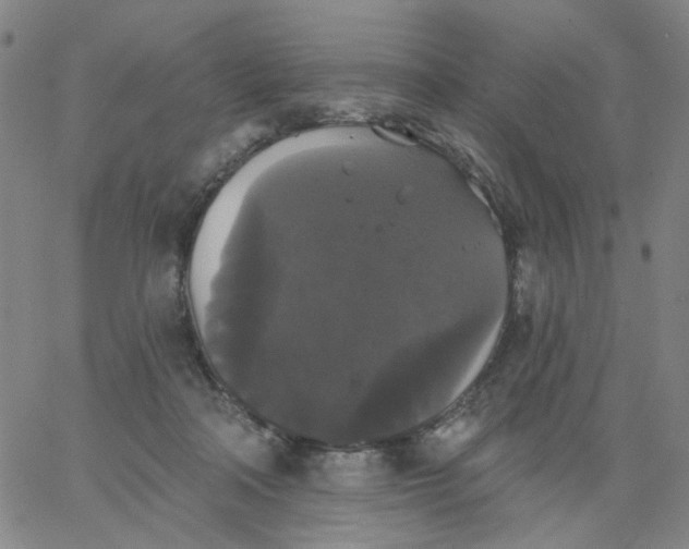 X0000067390314200604131938