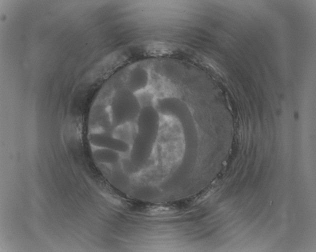 X0000067390315200604131938