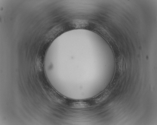 X0000067390316200604131938