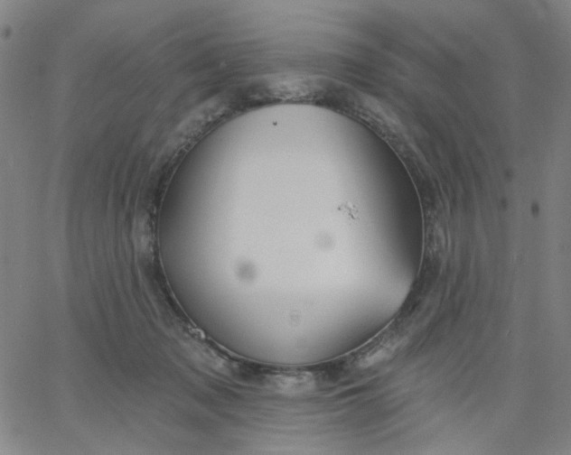 X0000067390317200604131938