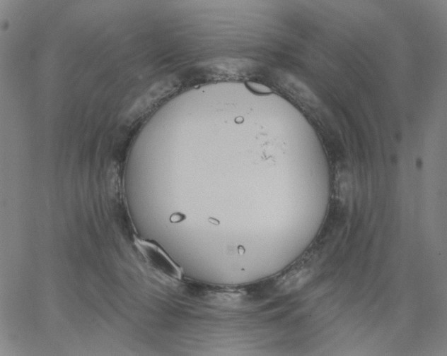 X0000067390318200604131938