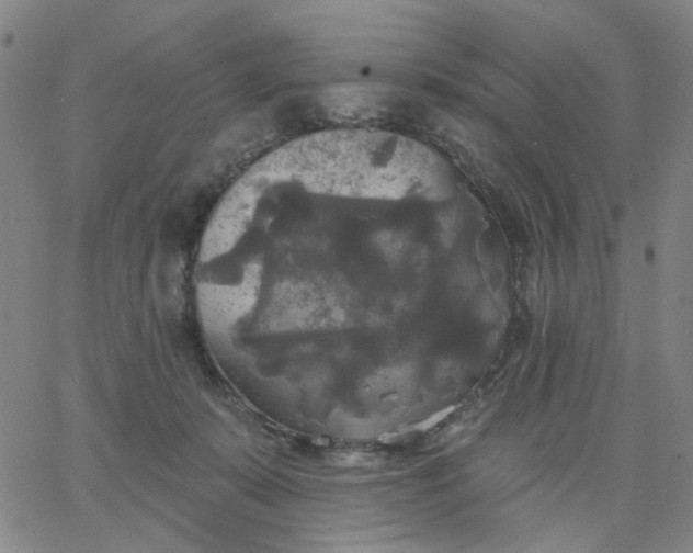 X0000067390319200604131938