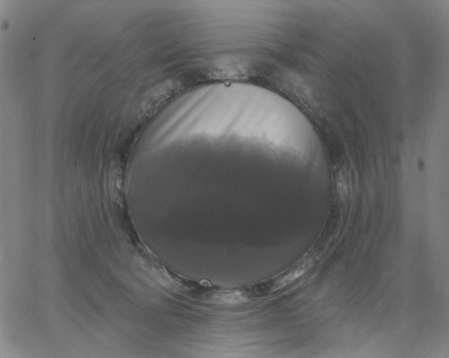 X0000067390322200604131938