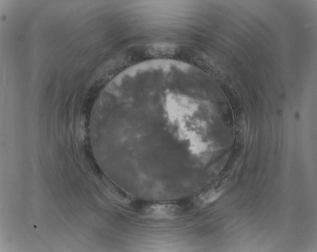 X0000067390323200604131938