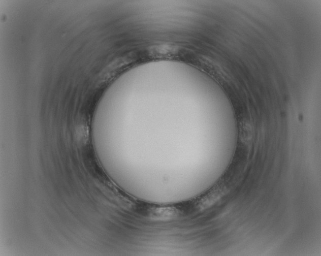 X0000067390324200604131938