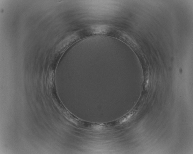 X0000067390325200604131938