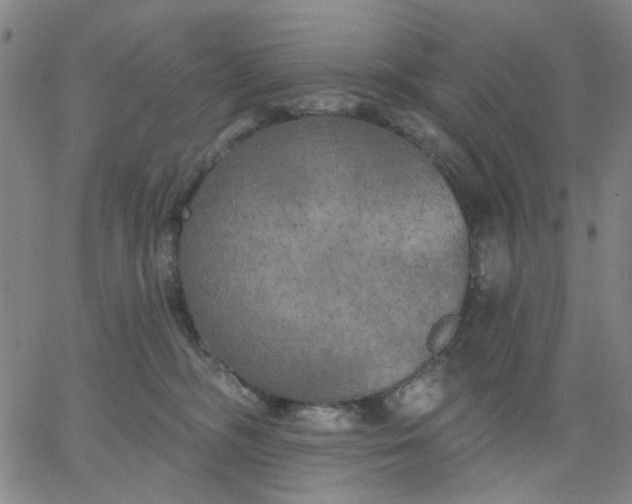 X0000067390326200604131938