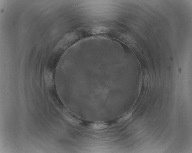 X0000067390327200604131938