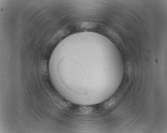 X0000067390328200604131938