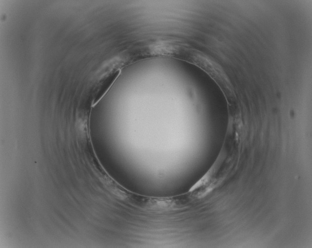 X0000067390329200604131938