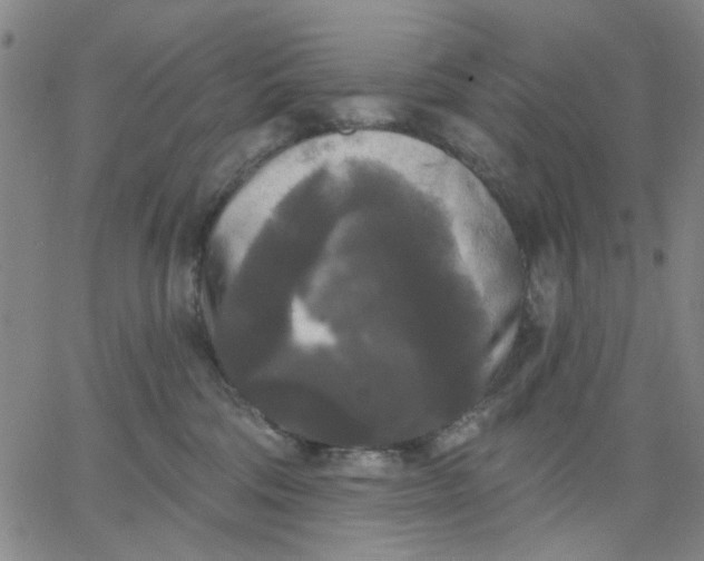 X0000067390330200604131938