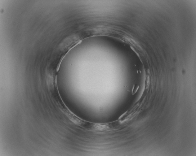 X0000067390333200604131938