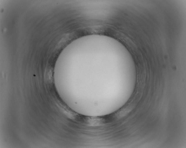 X0000067390336200604131938