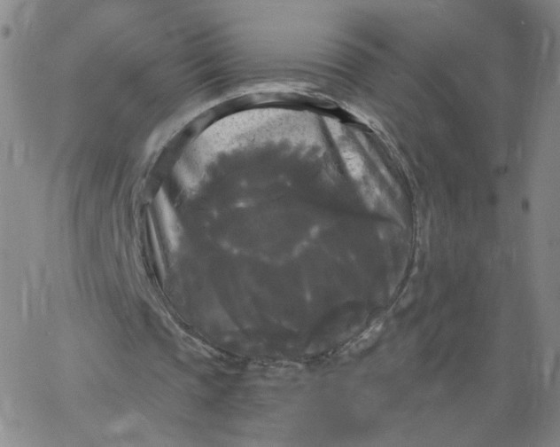 X0000067390337200604131937