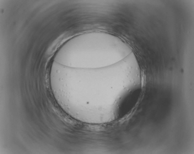 X0000067390339200604131937