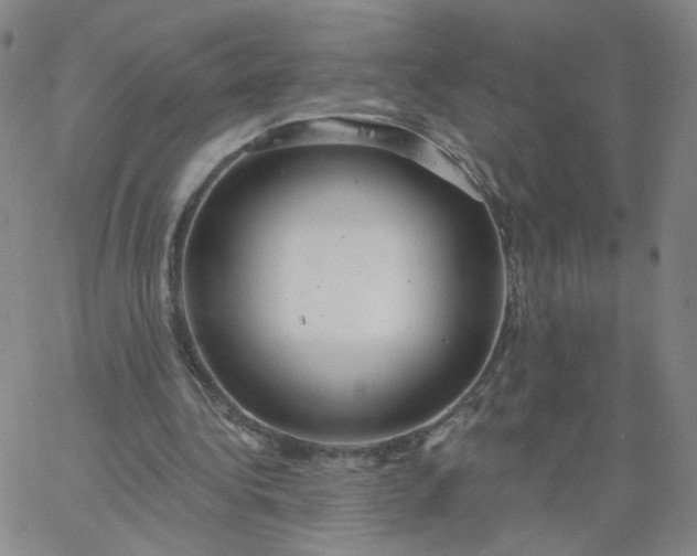 X0000067390340200604131937