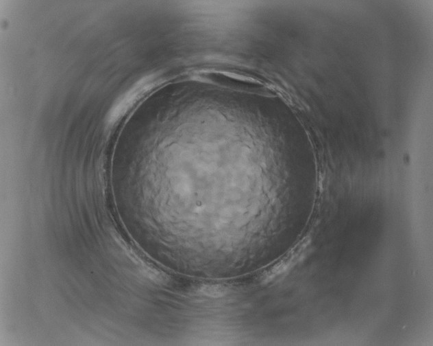 X0000067390341200604131937