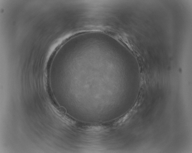 X0000067390342200604131937