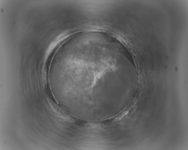 X0000067390343200604131937