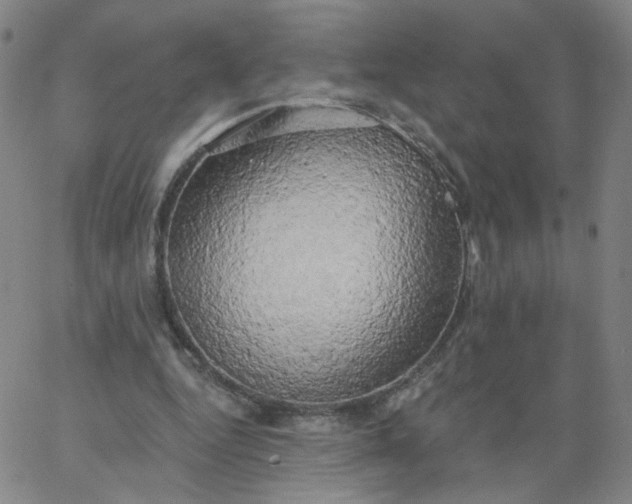 X0000067390344200604131937