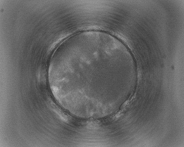 X0000067390345200604131937