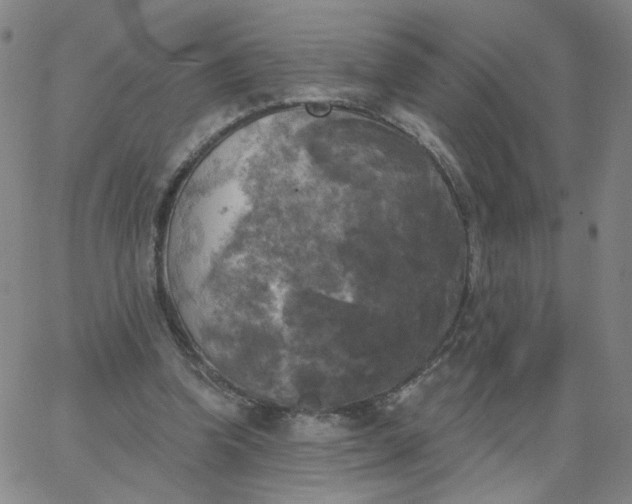 X0000067390346200604131937