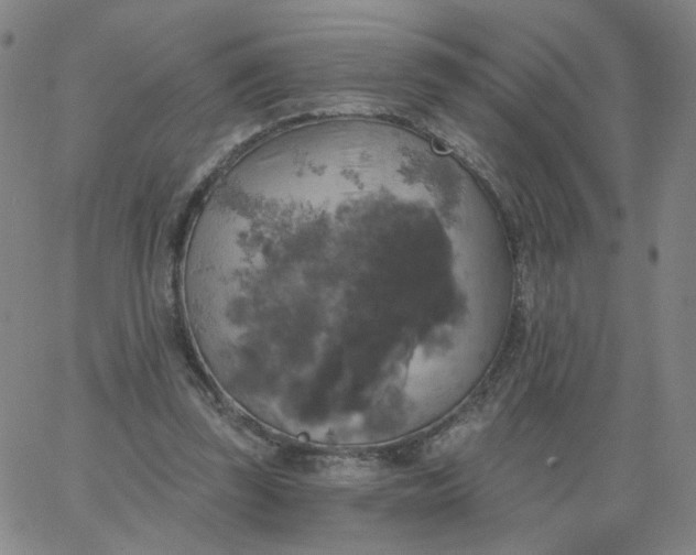 X0000067390347200604131937