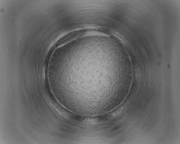 X0000067390350200604131937