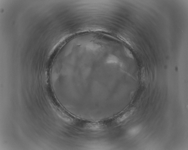 X0000067390351200604131937