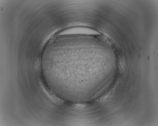 X0000067390352200604131937