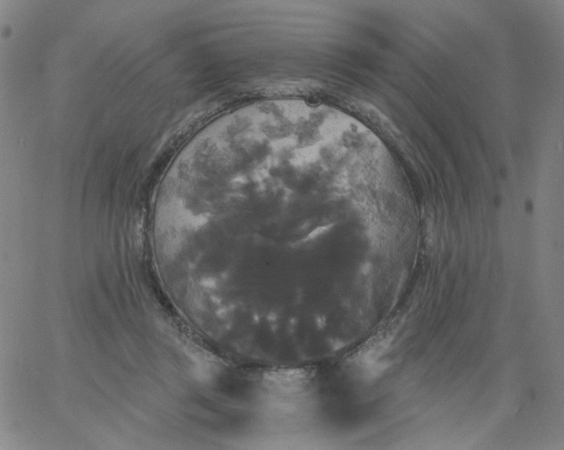 X0000067390357200604131937