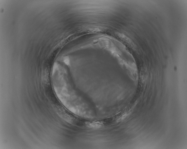 X0000067390359200604131937