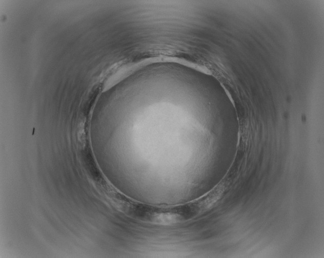 X0000067390360200604131937