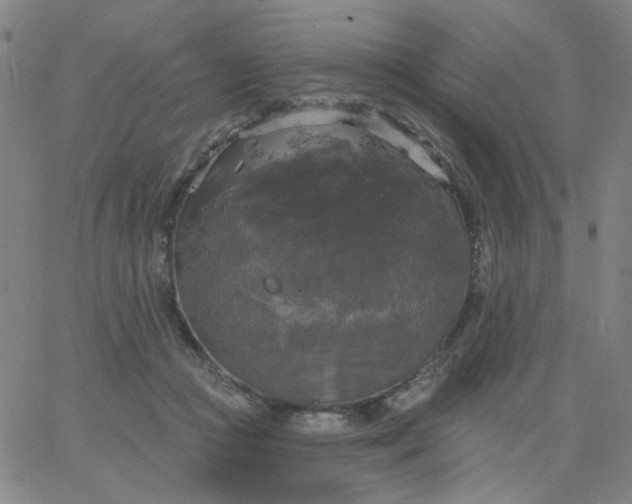 X0000067390361200604131937